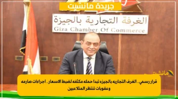 قرار رسمي.. الغرف التجارية بالجيزة تبدأ حملة مكثفة لضبط الأسعار.. إجراءات صارمة وعقوبات تنتظر المتلاعبين 1